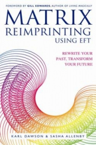 Könyv Matrix Reimprinting using EFT Karl Sasha Allenby Dawson