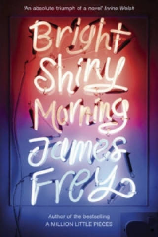 Kniha Bright Shiny Morning James Frey