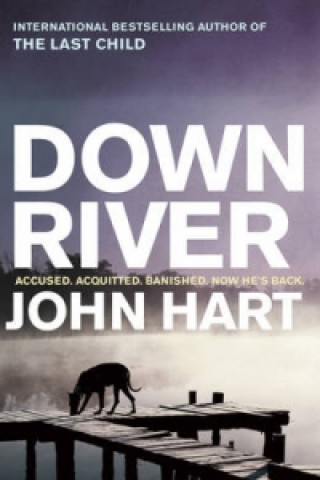 Kniha Down River John Hart
