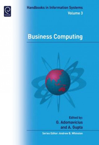 Knjiga Business Computing Gediminas Adomavicius