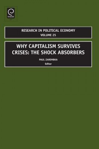 Kniha Why Capitalism Survives Crises Paul Zarembka