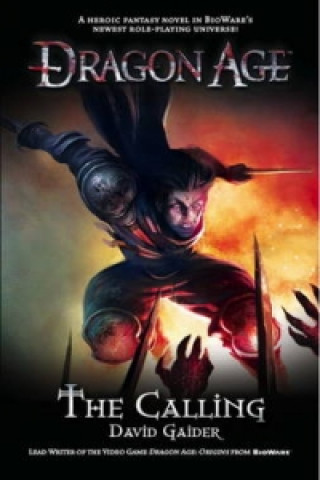 Kniha Dragon Age - the Calling David Gaider