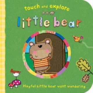 Книга Little Bear Katie Saunders