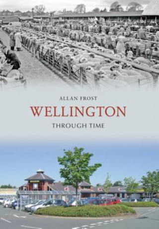 Kniha Wellington Through Time Allan Frost