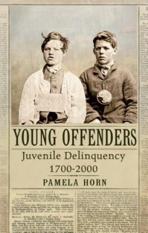 Könyv Young Offenders Pamela Horn