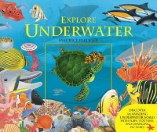 Könyv Explore Underwater Maurice Pledger