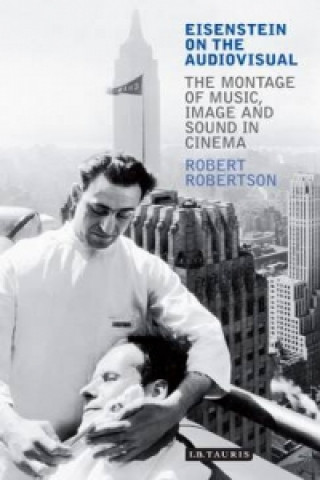 Buch Eisenstein on the Audiovisual Robert Robertson