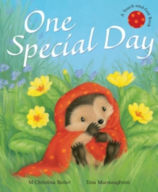 Buch One Special Day Christina Butler