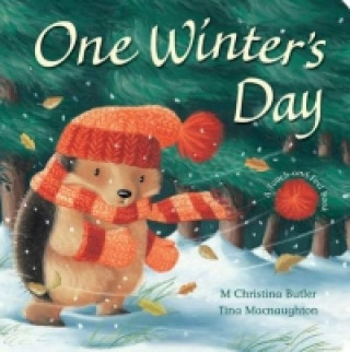 Kniha One Winter's Day Christina Butler