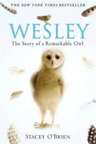 Книга Wesley Stacey O´Brien