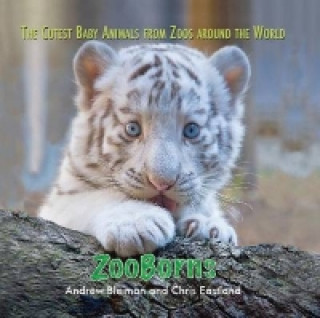 Книга ZooBorns Andrew Bleiman