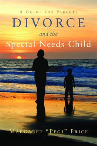 Buch Divorce and the Special Needs Child Maragret Price