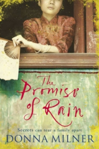 Könyv Promise of Rain Donna Milner