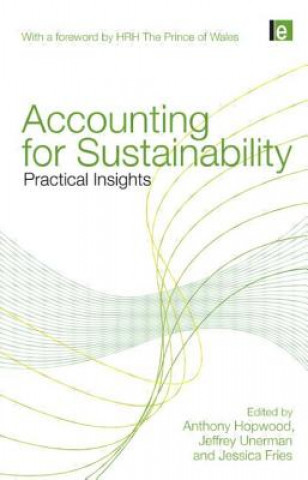 Könyv Accounting for Sustainability 