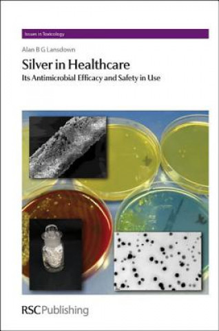 Carte Silver in Healthcare Alan B G Lansdown