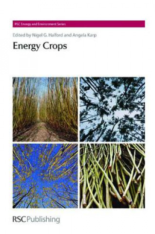 Книга Energy Crops Anthony Bridgewater