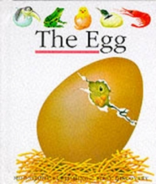 Книга Egg R Mettler