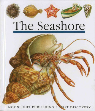 Книга Seashore Pascale Bourgoing