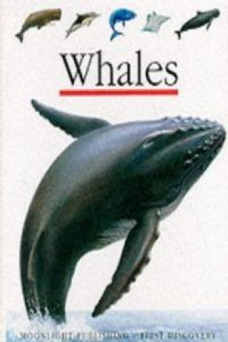 Книга Whales Ute Fuhr