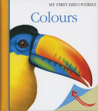 Kniha Colours Pascale de Bourgoing