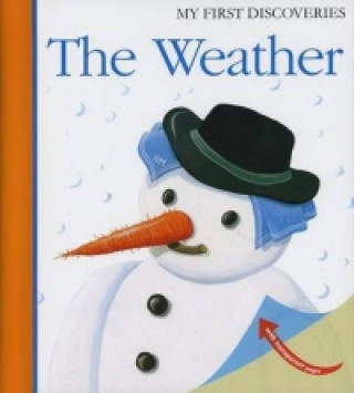 Kniha Weather Sarah Mathews
