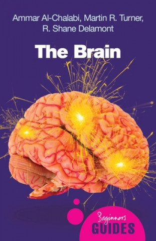 Kniha Brain Ammar Chalabi