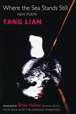 Libro Where the Sea Stands Still Lian Yang