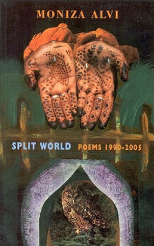 Kniha Split World Moniza Alvi