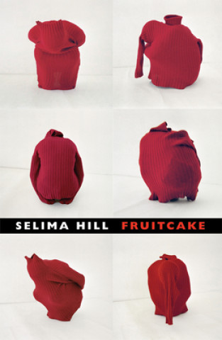 Kniha Fruitcake Selim Hill