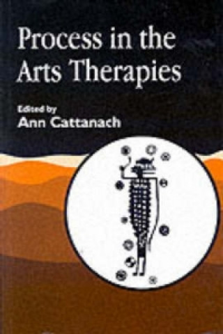 Buch Process in the Arts Therapies Ann Cattanach