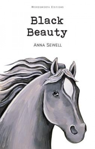 Kniha Black Beauty Anna Sewell