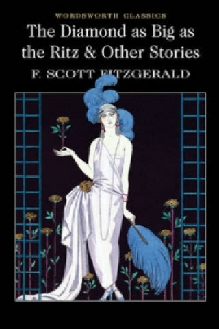 Książka Diamond as Big as the Ritz & Other Stories Francis Scott Fitzgerald