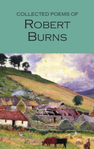 Kniha Collected Poems of Robert Burns Robert Burns