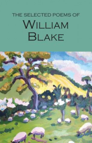 Kniha The Selected Poems of William Blake William Blake