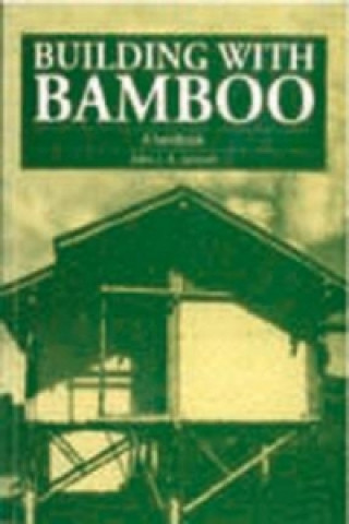 Carte Building with Bamboo Jules J A Janssen