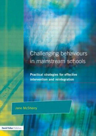 Könyv Challenging Behaviour in Mainstream Schools Jane McSherry