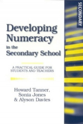 Kniha Developing Numeracy in the Secondary School Alyson Davies