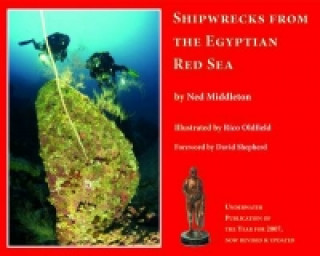 Kniha Shipwrecks from the Egyptian Red Sea Ned Middleton
