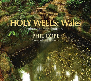 Kniha Holy Wells: Wales Phil Cope