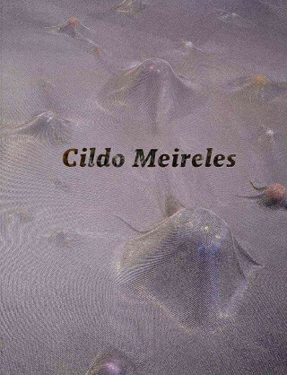 Carte Cildo Meireles Guy Brett