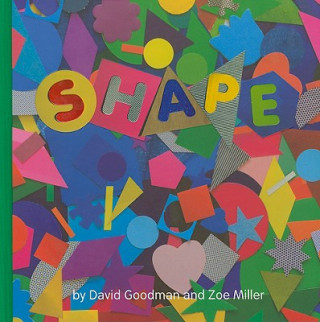 Kniha Shape David Goodman