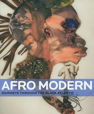 Book Afro Modern Tanya Barson