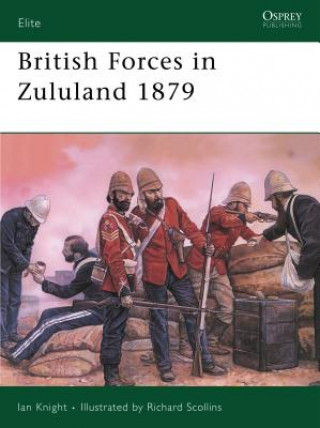 Książka British Forces in Zululand 1879 Ian Knight