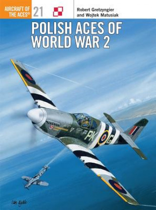 Buch Polish Aces of World War 2 Matusiak