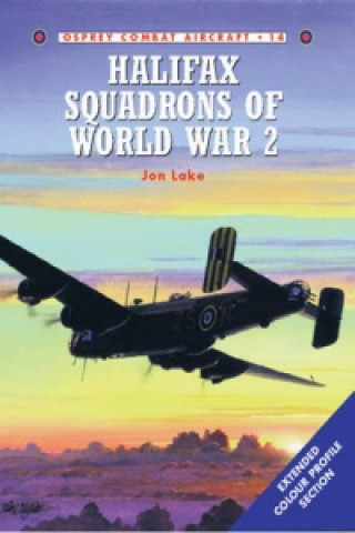 Kniha Halifax Squadrons of World War 2 Jon Lake