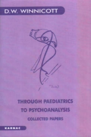Könyv Through Paediatrics to Psychoanalysis D W Winnicott