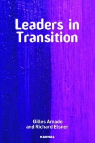 Книга Leaders in Transition Gilles Amado