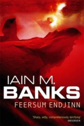 Kniha Feersum Endjinn Iain M Banks