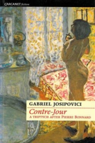 Knjiga Contre-Jour Gabriel Josipovici