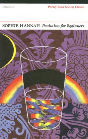 Könyv Pessimism for Beginners Sophie Hannah